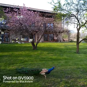https://bioagriturismo-campo-di-cielo.hotelinveneto.com